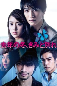 去年の冬、きみと別れ Online In Netflix