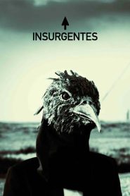 Steven Wilson – Insurgentes Online In Netflix