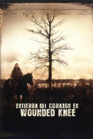 Entierren Mi Corazón En Wounded Knee Online In Netflix