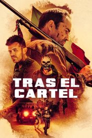 Metralla Online In Netflix