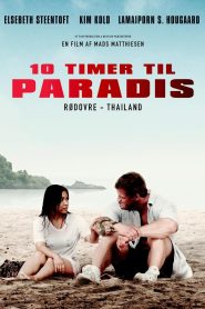 Teddy Bear Online In Netflix