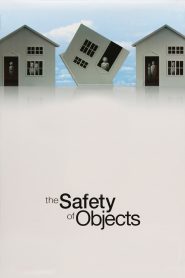 The Safety of Objects Online In Netflix