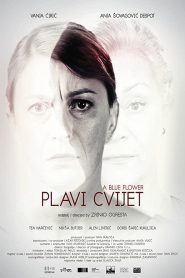 Plavi cvijet Online In Netflix