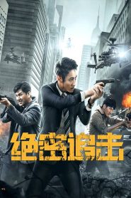 绝密追击 Online In Netflix