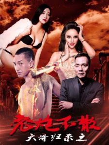 大哥归来之老炮不散 Online In Netflix