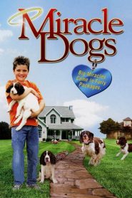 Milagros Caninos Online In Netflix