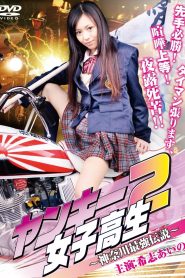 ヤンキー女子高生2 ～神奈川最強伝説～ Online In Netflix