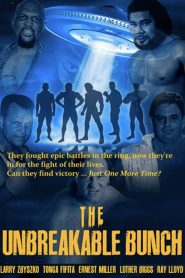 The Unbreakable Bunch Online In Netflix