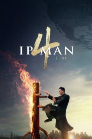 Ip Man 4 Online In Netflix