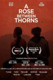 A Rose Between Thorns Online In Netflix