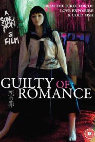 El Romance y la Culpa Online In Netflix