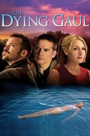 The Dying Gaul Online In Netflix