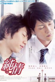 純情 Online In Netflix