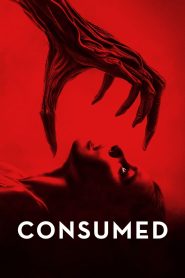 Consumed Online In Netflix