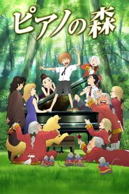 ピアノの森 Online In Netflix