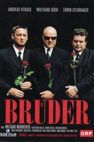 Brüder Online In Netflix