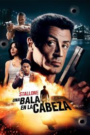 El Ejecutor Online In Netflix