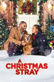 A Christmas Stray Online In Netflix