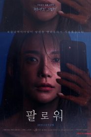 팔로워 Online In Netflix