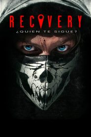 Recovery Online In Netflix
