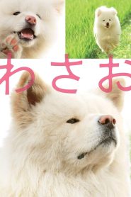 わさお Online In Netflix