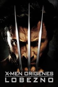 X-Men orígenes: Wolverine Online In Netflix