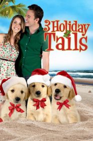 3 Holiday Tails Online In Netflix
