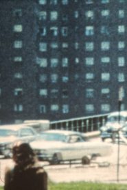 The Sky Socialist: Flight Online In Netflix