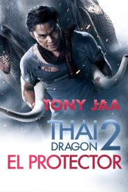 El Protector 2 Online In Netflix