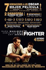 El peleador Online In Netflix
