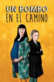 Un bombo en el camino Online In Netflix