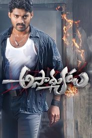 అసాధ్యుడు Online In Netflix