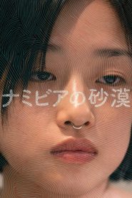 ナミビアの砂漠 Online In Netflix
