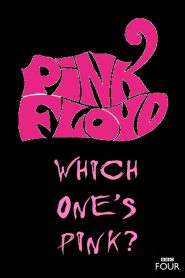 The Pink Floyd Story: Which One’s Pink? Online In Netflix