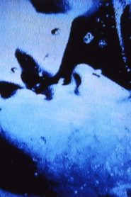 Self-Portrait in 23 Rounds: a Chapter in David Wojnarowicz’s Life, 1989–1991 Online In Netflix