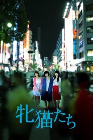 牝猫たち Online In Netflix