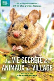 Wild Tales From The Village Online In Netflix