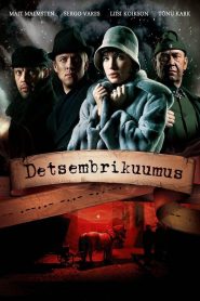 Detsembrikuumus Online In Netflix