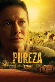 Pureza Online In Netflix