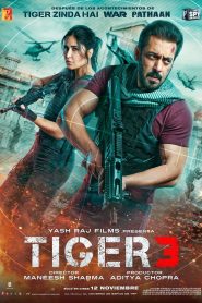 Tiger 3 Online In Netflix