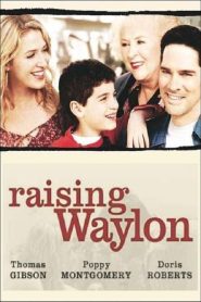 Raising Waylon Online In Netflix