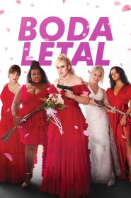 Duro de casar Online In Netflix
