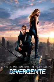 Divergente Online In Netflix