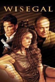 Wisegal Online In Netflix