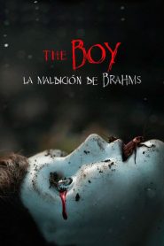 Brahms: El niño 2 Online In Netflix