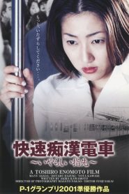 痴漢電車　さわってビックリ！ Online In Netflix
