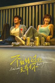 不能错过的只有你 Online In Netflix
