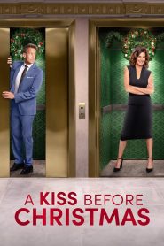 A Kiss Before Christmas Online In Netflix