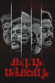 കുറ്റവും ശിക്ഷയും Online In Netflix