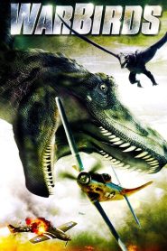 Warbirds Online In Netflix